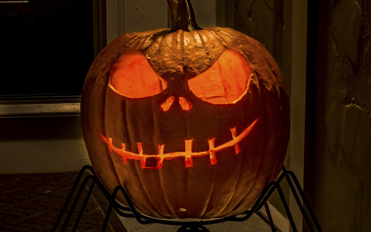 Fall Festive-ness